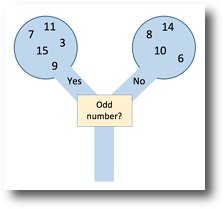 Sorting out Venn and Carroll diagrams for EYFS, KS1 and KS2