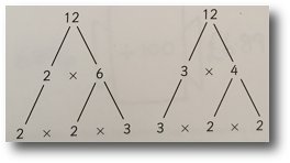 factor trees