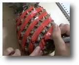 pineapple1