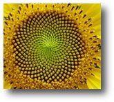 Screen Shot 2016-08-31 at 13.35.42