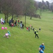 eggrolling