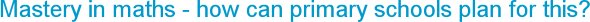Mastery in maths - how can primary schools plan for this?