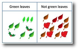 leaves