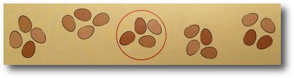 fractions 1